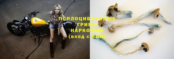 кокс Белокуриха