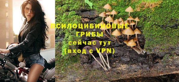 кокс Белокуриха