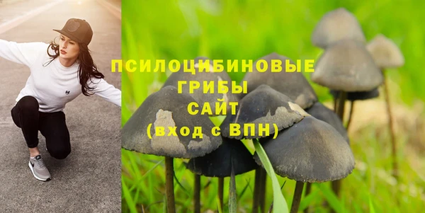 кокс Белокуриха