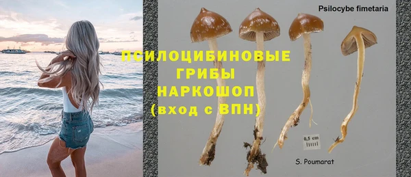 прущий лед Россошь